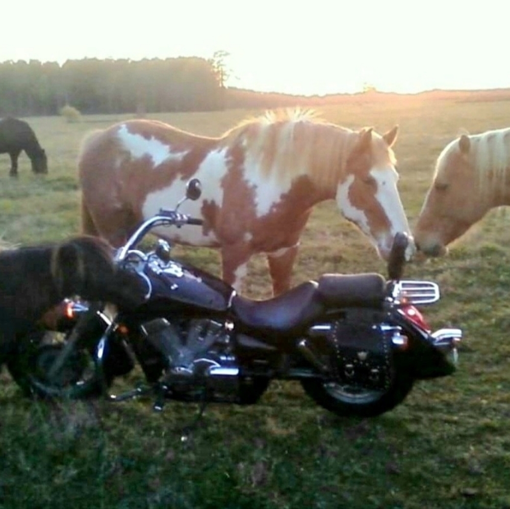 Meet your Posher, Rm